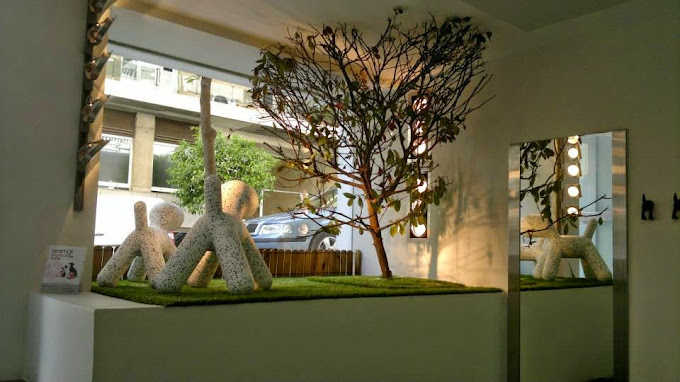 animal medical & spa care | ΚΟΛΩΝΑΚΙ